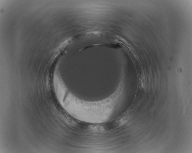 X0000071780520200607211600