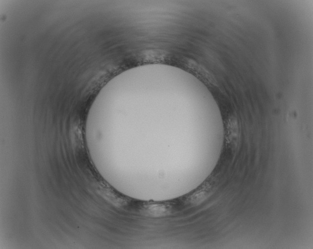 X0000071780522200607211600