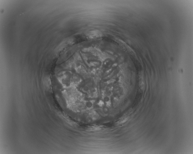 X0000071780523200607211600