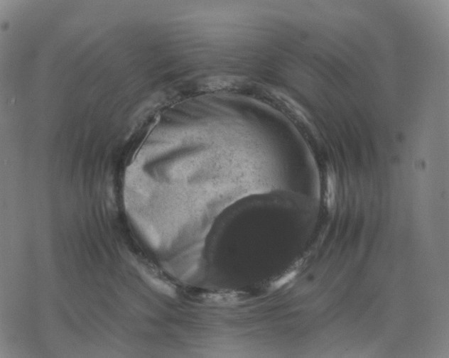 X0000071780524200607211600