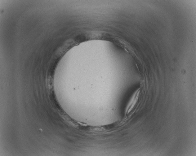 X0000071780525200607211600