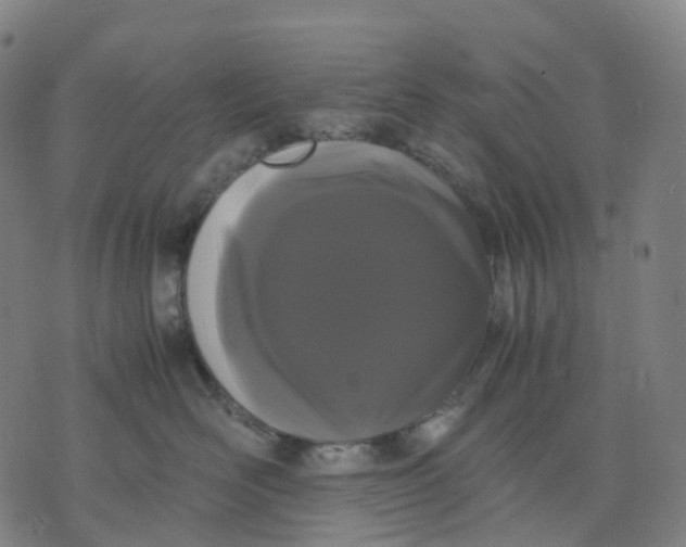 X0000071780526200607211600