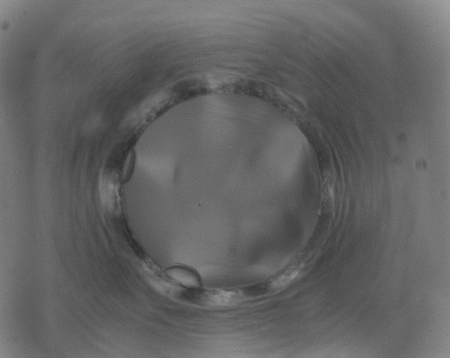 X0000071780527200607211600