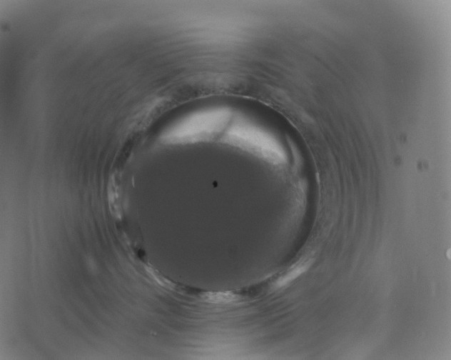 X0000071780528200607211600