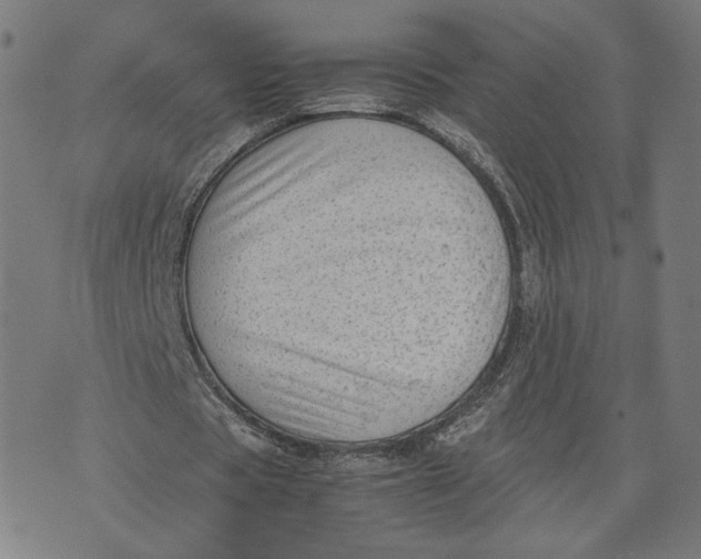 X0000071780529200607211559