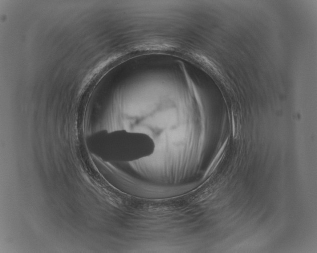 X0000071780531200607211559