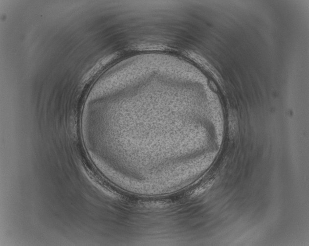 X0000071780533200607211559