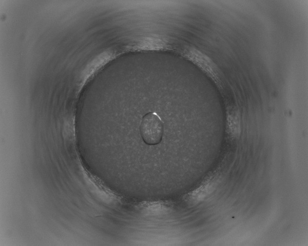 X0000071780534200607211559