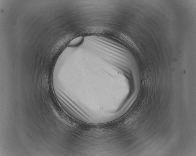 X0000071780538200607211559