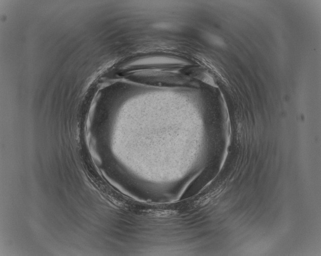 X0000071780539200607211559