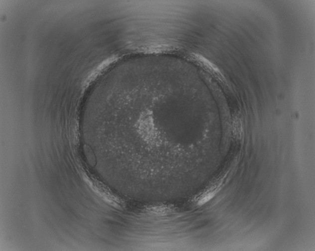 X0000071780540200607211559