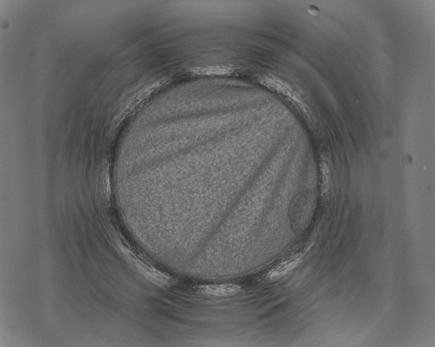 X0000071780541200607211559