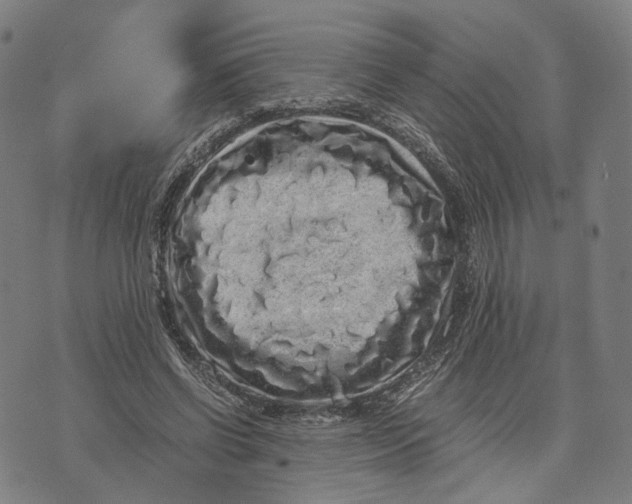 X0000071780542200607211559