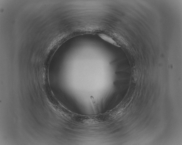 X0000071780544200607211559