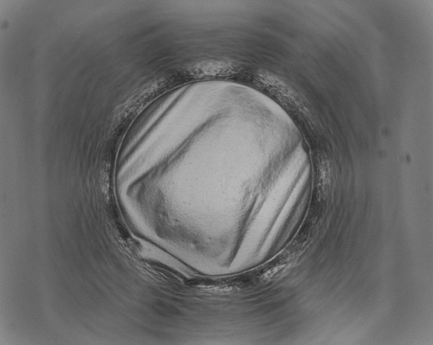 X0000071780545200607211559