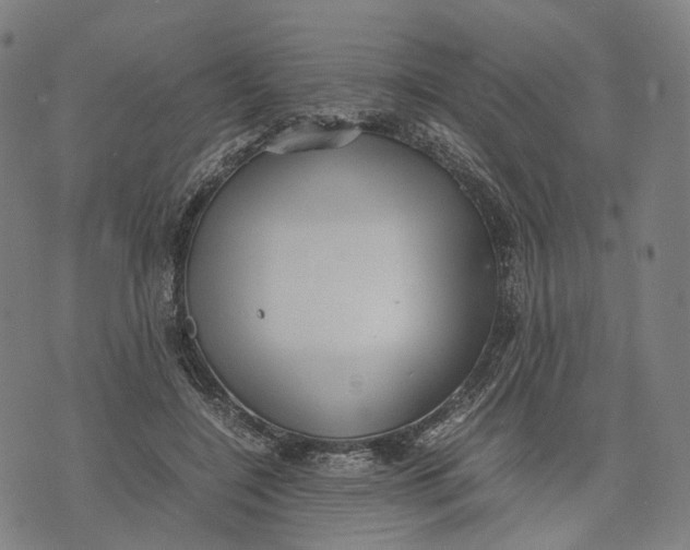 X0000071780548200607211559