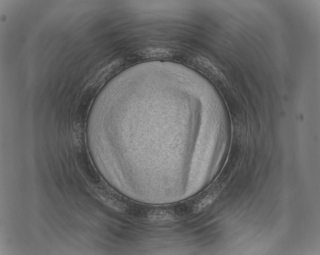 X0000071780549200607211559