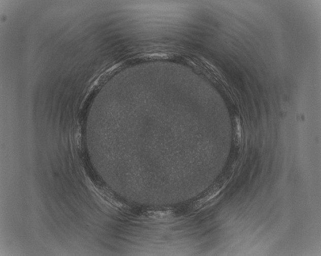 X0000071780552200607211559