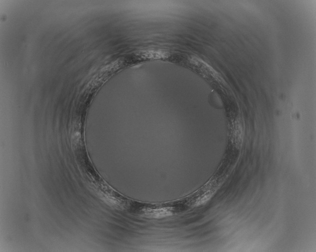 X0000071780553200607211559