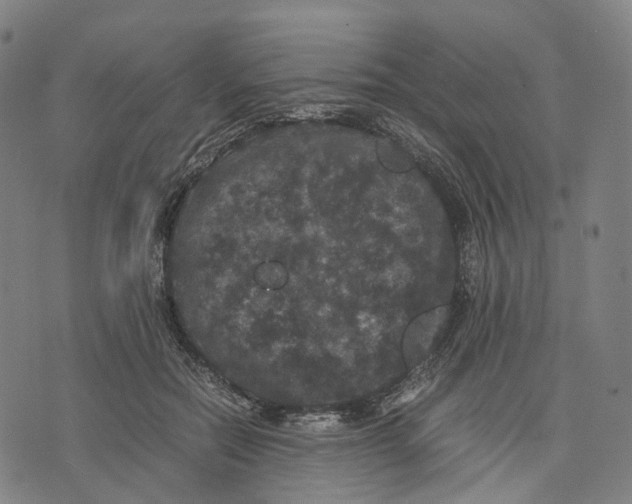 X0000071780554200607211559