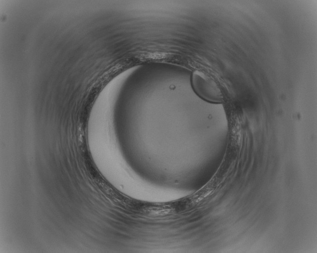 X0000071780555200607211600