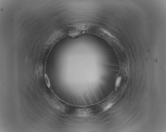 X0000071780556200607211600