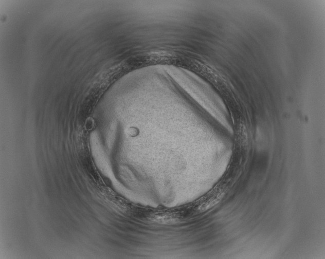 X0000071780557200607211600