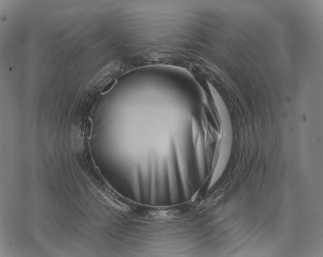 X0000071780558200607211600