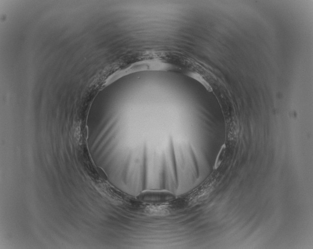 X0000071780560200607211600