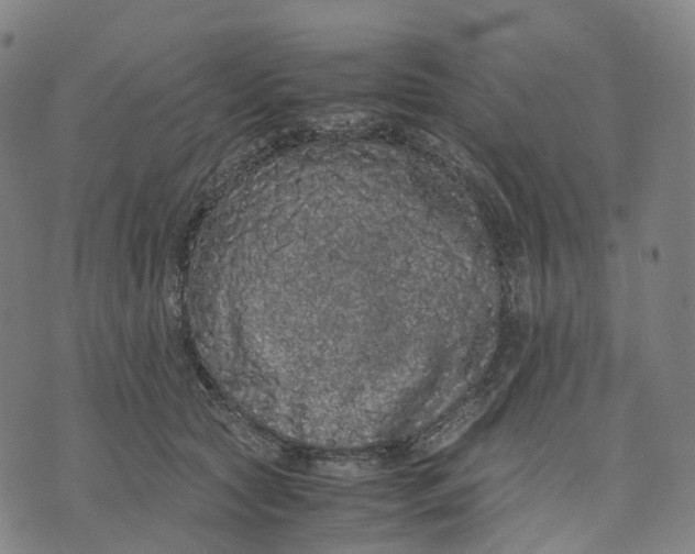 X0000071780561200607211600