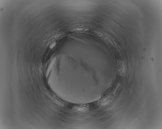 X0000071780563200607211600