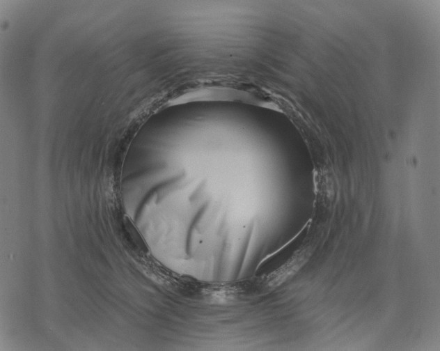 X0000071780564200607211600