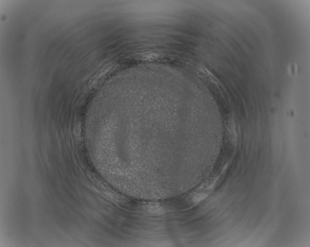 X0000071780565200607211600