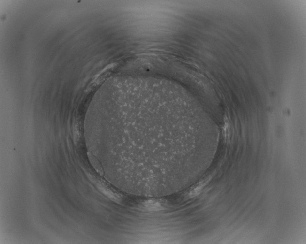 X0000071780566200607211600