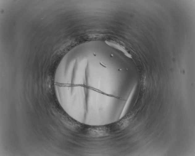 X0000071780567200607211600