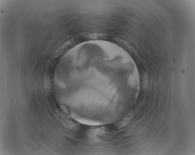 X0000071780569200607211600