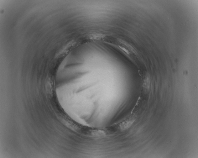 X0000071780572200607211600