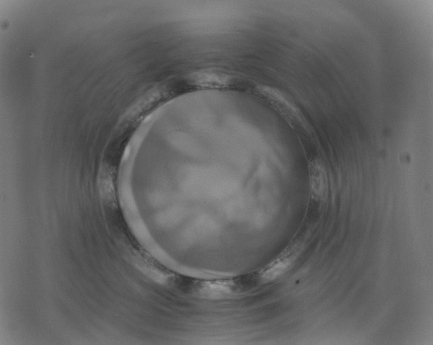 X0000071780573200607211600