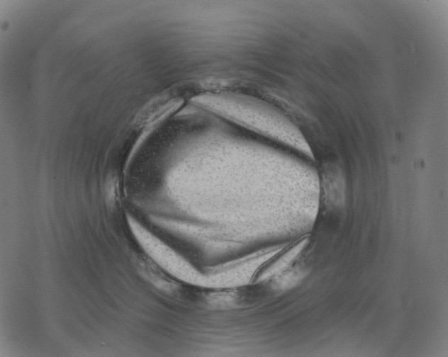 X0000071780574200607211600