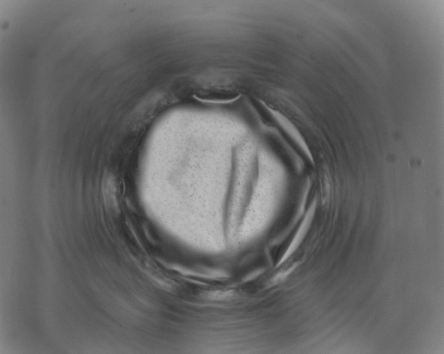 X0000071780575200607211600