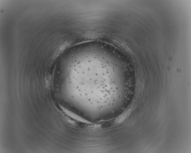 X0000071780576200607211600