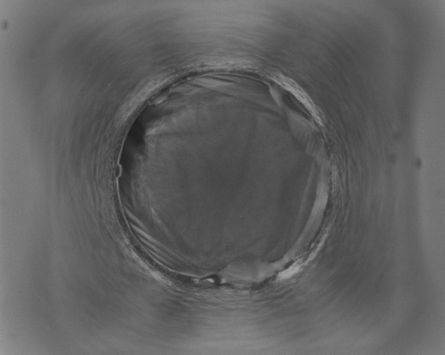 X0000071780577200607211559