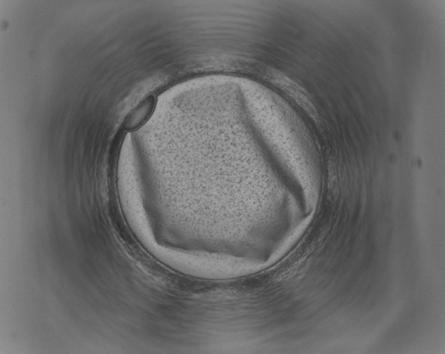 X0000071780578200607211559