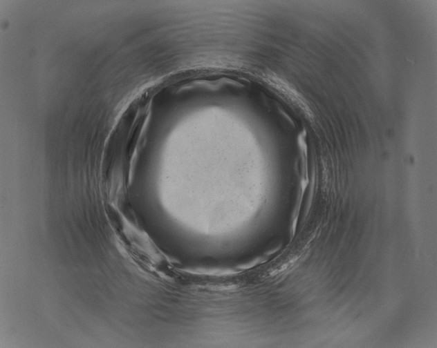 X0000071780580200607211559