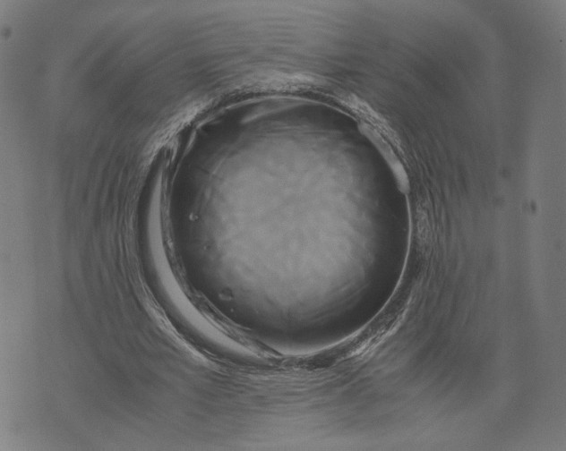 X0000071780581200607211559