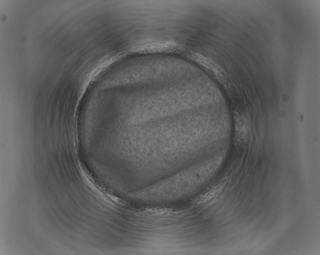 X0000071780582200607211559