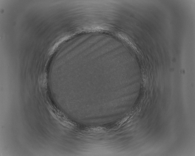 X0000071780583200607211559