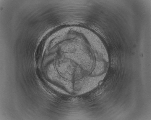 X0000071780584200607211559