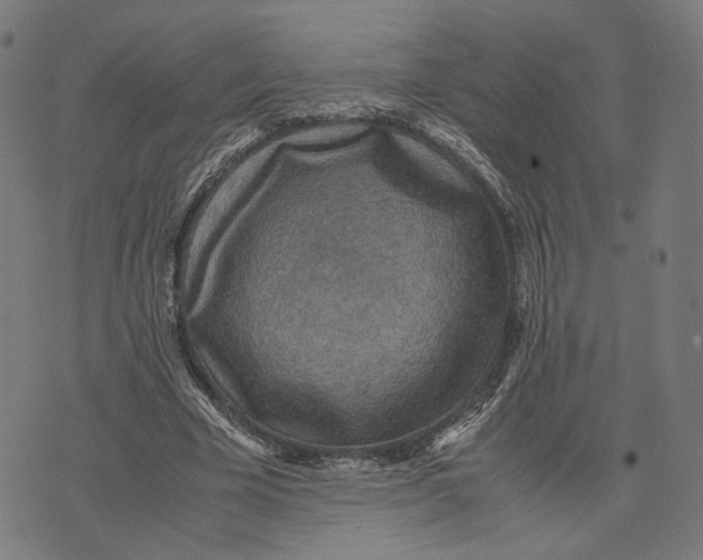 X0000071780585200607211559