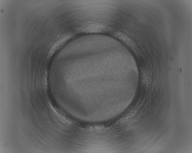 X0000071780586200607211559